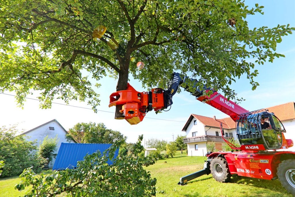 Commercial Tree Services
