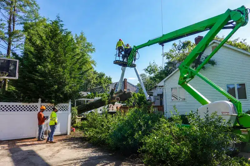 men wearing hard hats working tree service seen helping to remove had fallen roof house cherry hill new 194176111 1