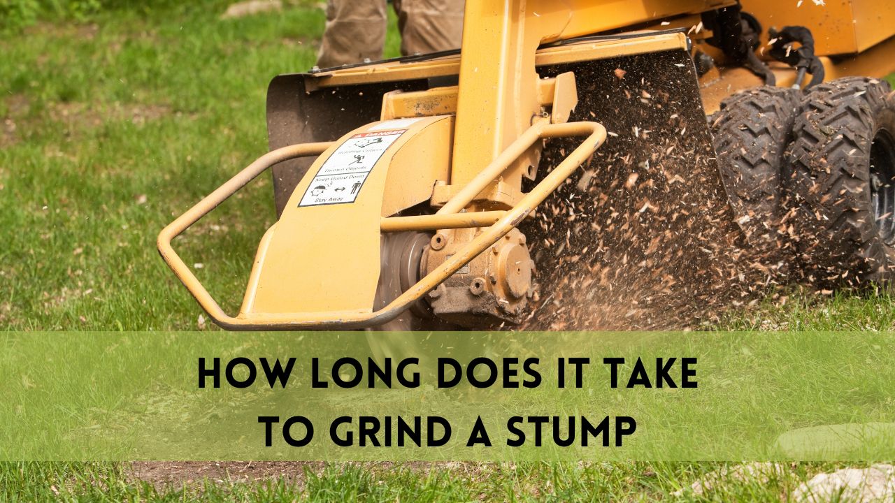 How Long Does It Take to Grind a Stump