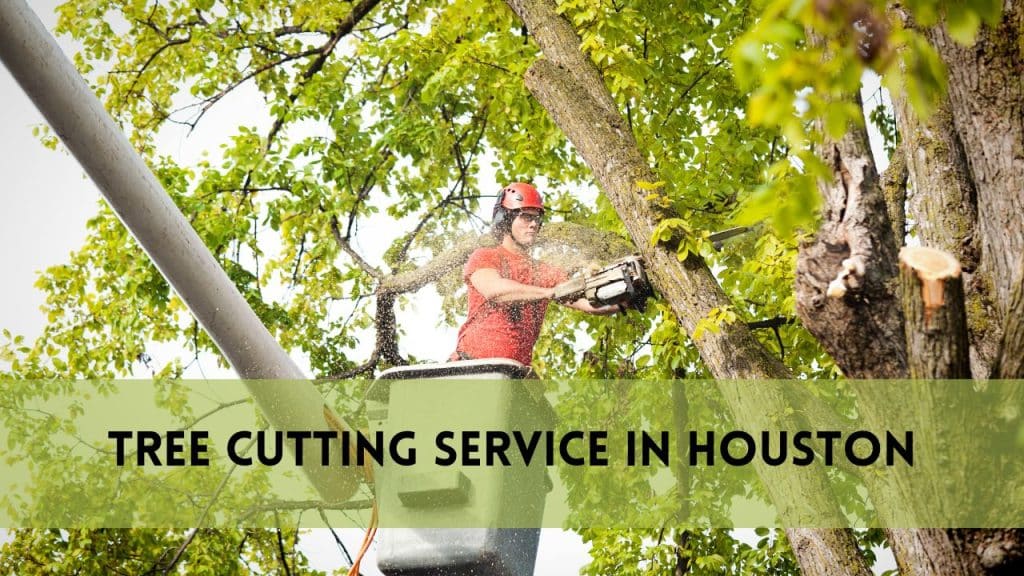 Tree Cutting Service Houston