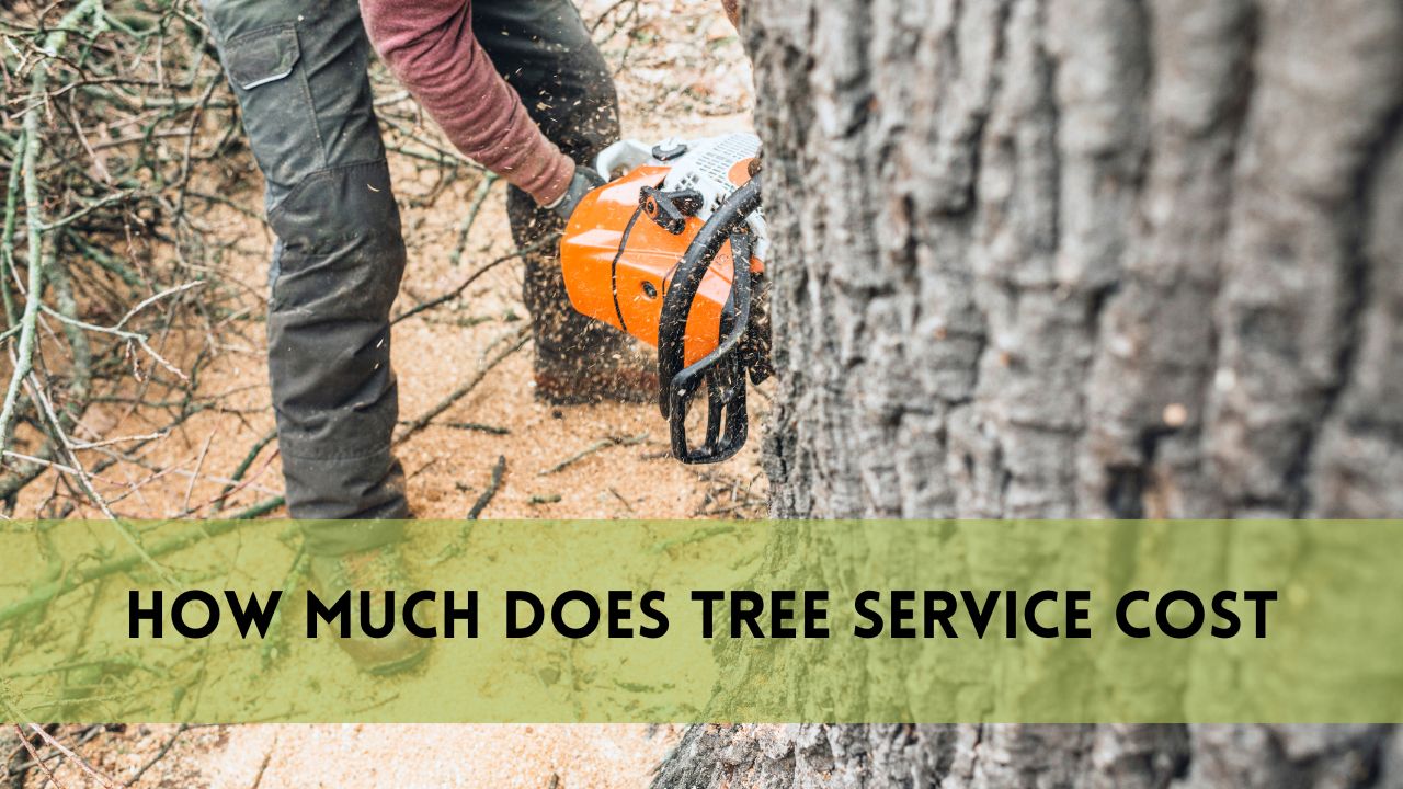 How Much Does Tree Service Cost